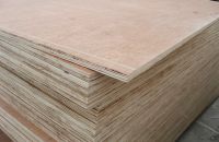 Việt Mỹ Anh Chuyên Thi Công Đóng Ván Coppha Giá Rẻ