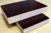 Lựa Chọn Ván Ép Coffa Phủ Phim Trong Thi Công Sàn Đổ Bê Tông