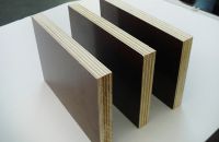 Sử dụng và bảo quản ván ép coppha phủ phim