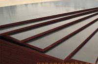 Ứng dụng của ván ép coppha phủ phim