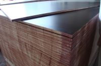 Trần Nhà Bằng Ván Ép Coppha Phủ Phim