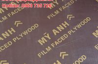 Ván ép coppha có những ưu điểm vượt trội gì?