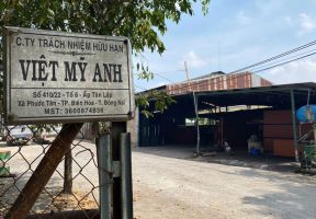 Ván ép phủ phim Mỹ Anh xuất khẩu Việt Nam - Châu Phi