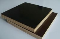 Đâu là gia trị thật sự của ván ép coppha phủ keo ?