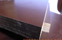 Các tiêu chí lựa chọn cửa hàng bán ván ép coppha uy tín như thế nào?