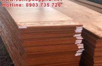 Đặc tính và tiêu chí khi sử dụng coppha đỏ